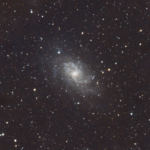 This is a photograph of a spiral galaxy surrounded by several stars, which appear as tiny, colorful pinpricks of light. 