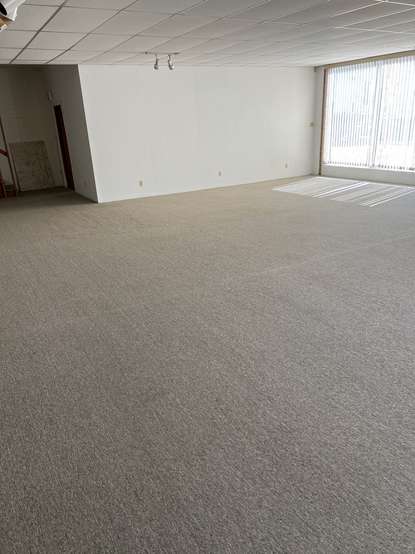 The old carpet before removal