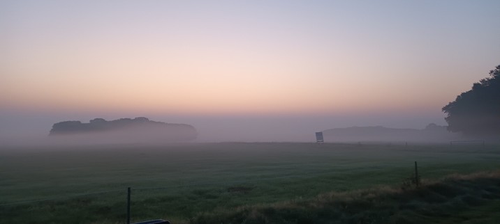 Ochtendnevel in landschap met bosjes