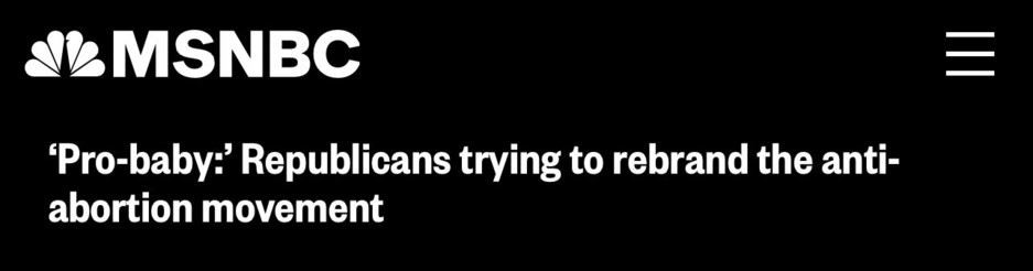 Image of headline “pro baby” republicans, trying to rebrand antiabortion movement 

To what? Antiabortion movement with tide pods?