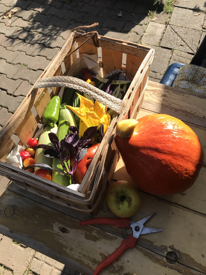 Gemüsekorb mit Hokkaidokürbis