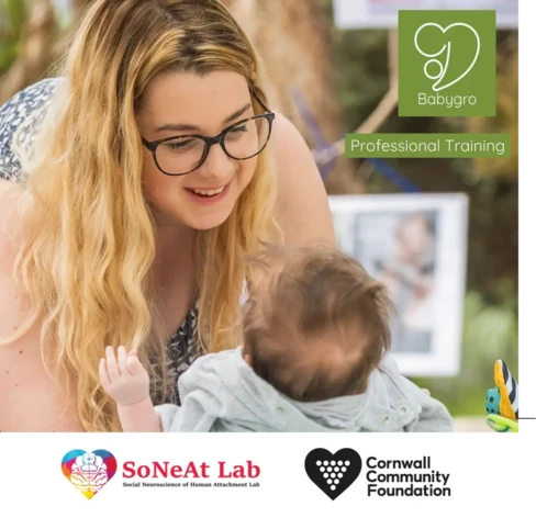 Babygro Professional Training Flyer