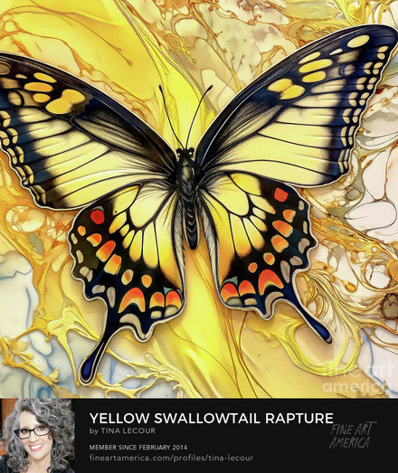 This is a square image of a big beautiful dreamy yellow swallowtail butterfly