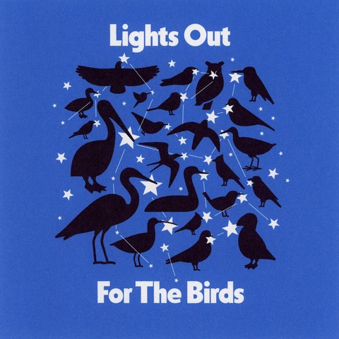 Illustration of bird silhouettes with stars overlaid. Text reads "Lights Out For The Birds"