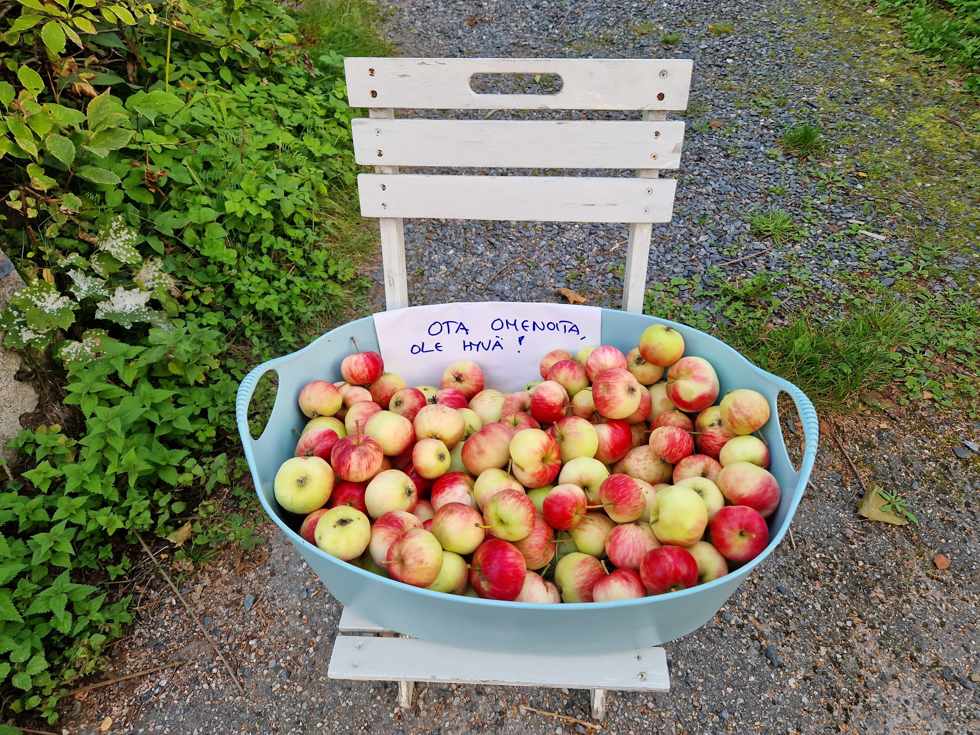 A large container of red and green apples, placed on a wooden folding chair by the street. A piece of paper reads "OTA OMENOITA, OLE HYVÄ!" ("PLEASE TAKE SOME APPLES!"). 