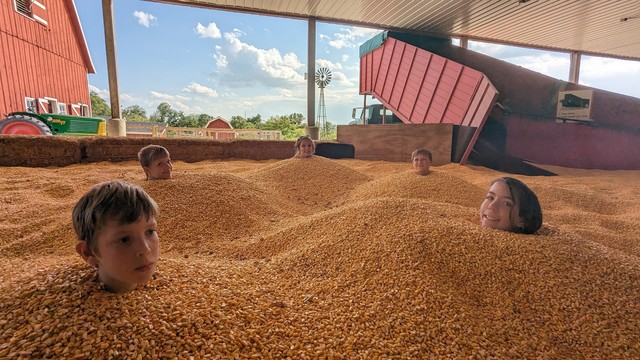 five kids buried up to their necks in corn with an idylic iowa farm scene in the background