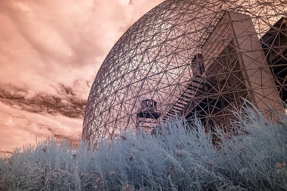 Biosphere and tall grass