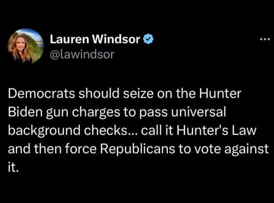 Screenshot of @lawindsor's tweet on X:

"Democrats should seize on the Hunter
Biden gun charges to pass universal
background checks...callit Hunter's Law
and then force Republicans to vote against
it."