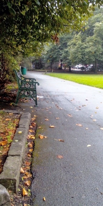A view of an empty grassy park in the rain. A green iron bench in the shelter of a tree. 