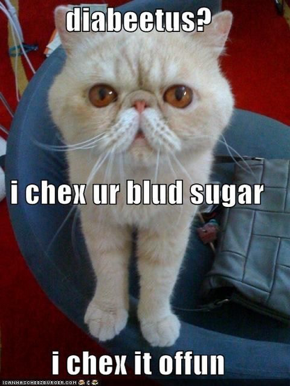 https://www.tippersvintageplates.co.uk/http/hor.happyvalentinesday2020.online/diabetic-cat-memes-8ca7.html