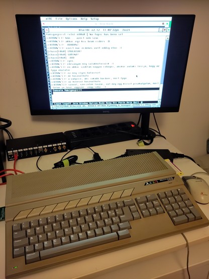 Atari Falcon running FreeMiNT and AtarIRC.