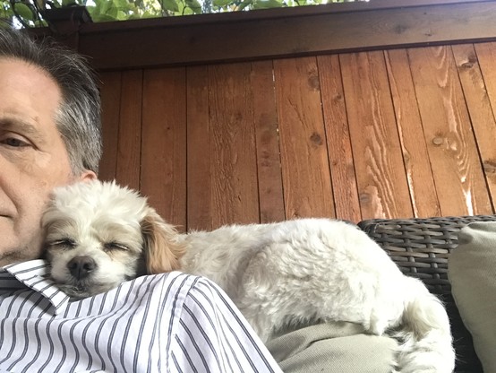 Max, Nine pounds of maltese and chihuahua, snoozes on my shoulder.
