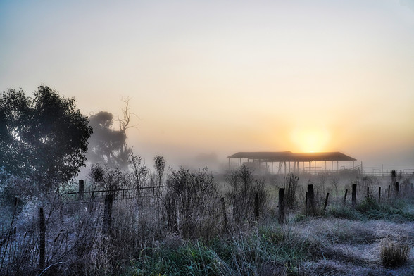 White freezing mist and fog in Central Victoria Australia 

It was impossible to drive through the mist 