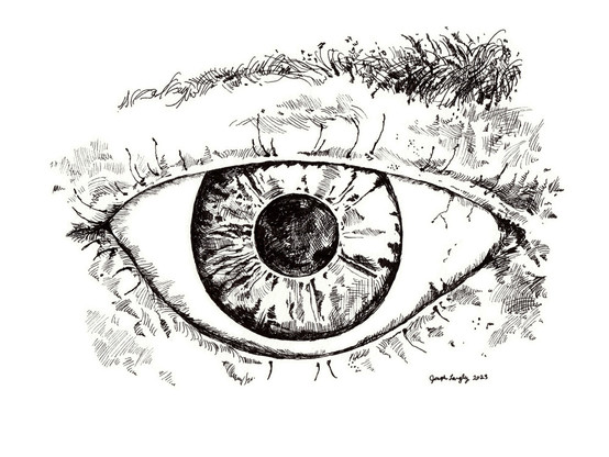This is an ink drawing of an eye, the second of four, one each day. For this one, I used my day one drawing as inspiration.