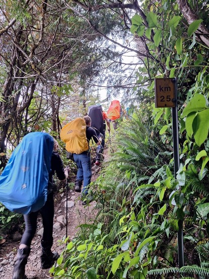 hiking along the West Coast Trail