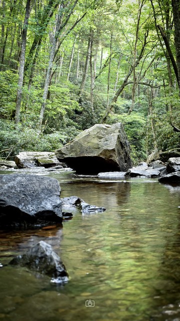 Large boulders sitting in a calm mountain stream under a canopy of tall leafy green trees