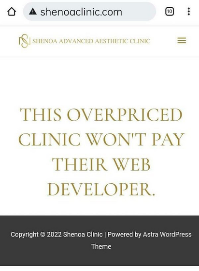 Website screenshot - company didn’t pay their deveoper.