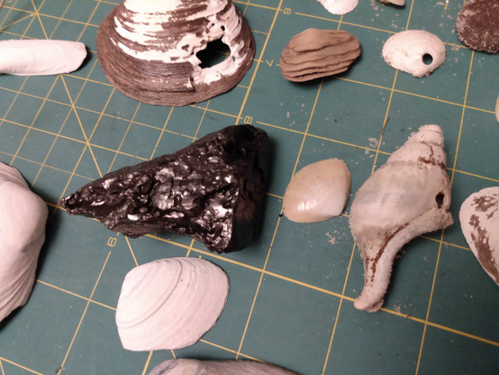 In the center fo some clam shells and driftwood pieces, a very shiny black triangle-shaped piece that is about 3 inches on the long side. Turns out, this is coal from 100 year old shipwrecks. 