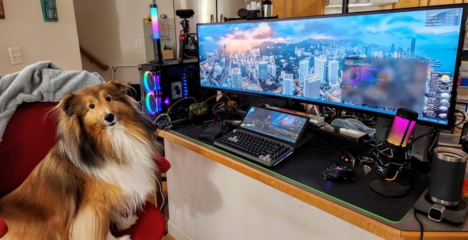 Working from Home with Sachiko

#HomeOffice #GamingRig #Workstation