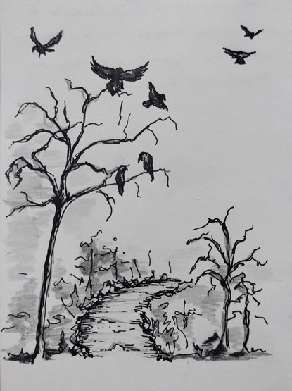 Corvids chatting in a leafless tree with others flying around over a dirt path.