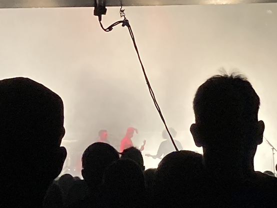 Frogleap live