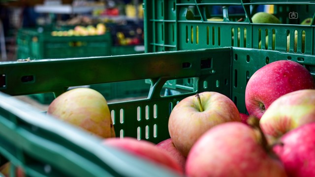 Red and yellow fresh apples in a green market crate