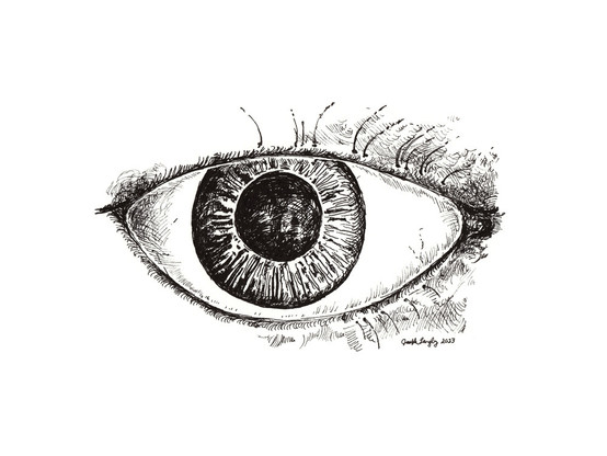 This is an ink drawing of an eye with an enlarged iris, to show iris detail more clearly.
