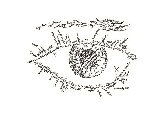 This is a typography-based drawing of an eye, with various parts formed by their names in cursive.