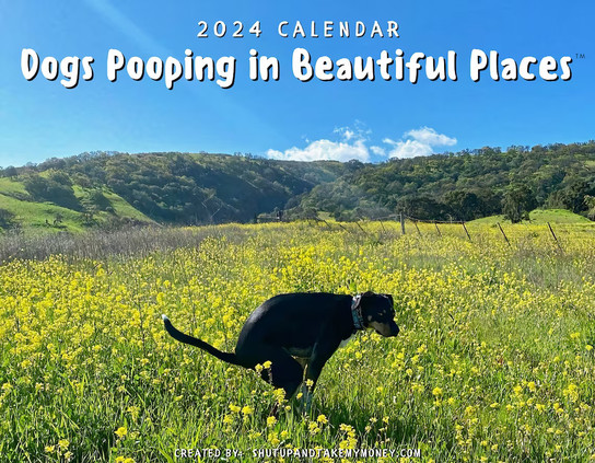 OCTOBER, ALREADY?

Coming up on October already?

Time to order my 2024 calendars.

#Dogs #Nature #Beauty #Calendar 