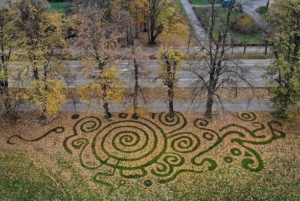 Photo 1: In a park next to a road, golden Autumn leaves have been raked in such a way as to reveal the green grass beneath in patterns of large swirls and circles.