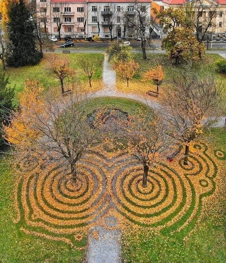 In a park beside a large circular walkway, golden leaves have been raked in large concentric circles around trees as though the trees were dropped into the leaves on the ground like stones in a pond.