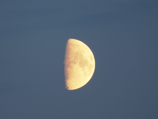 Rötlicher Halbmond während der Abenddämmerung