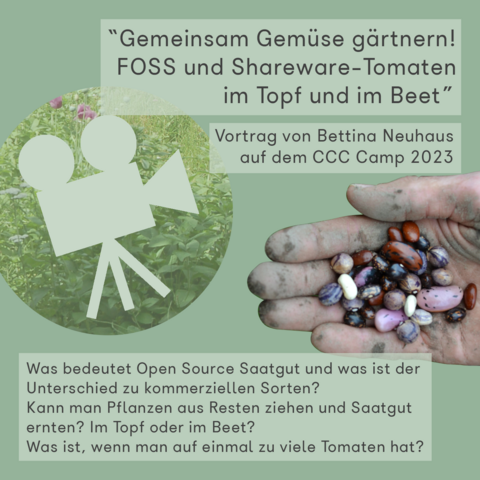 Titel des Vortrages "Gemeinsam Gemüse Gärtnern! FOSS und Sareware-Tomaten im Topf und im Beet". Dazu noch der selbe text wie im Post.

Auf einem blass grünen Hintergrund eine erdige Hand mit verschiedenen bunten und gemusterten trockenen Bohnen und ein Video Kamera Logo auf einem Rund ausgeschnittenen Bild einer wild wachsenden Wiese.