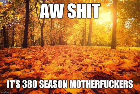 A photo of a golden autumn wood, with the text "Aw shit" and "It's 380 season motherfuckers"