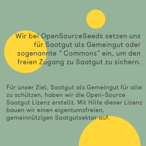 Auf blass grünem Hintergrund mit gelben Kreisen steht: "Wir bei OpenSourceSeeds setzen uns für Saatgut als Gemeingut oder sogenannte "Commons" ein, um den freien Zugang zu Saatgut zu sichern. Für unser Ziel, Saatgut als Gemeingut für alle zu schützen, haben wir die Open-Source Saatgut Lizenz erstellt. Mit Hilfe dieser Lizenz bauen wir einen eigentumsfreien gemeinnützigen Saatgutsektor auf."