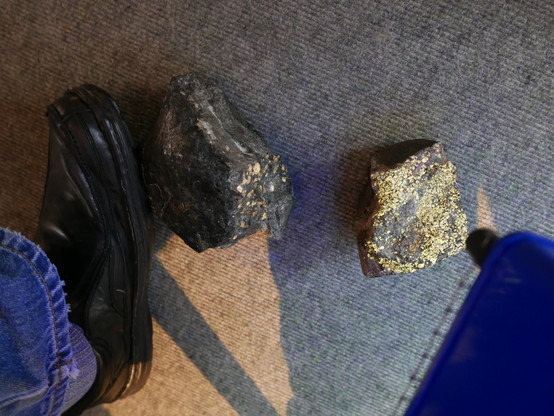 Two pieces of rock sit on a carpet. One is held in position by a black leather shoe, attached to a denim-clad leg. Among the dark minerals making up these rocks, hordes of large golden-glowing zircon crystals can be seen, fluorescing thanks to 254nm UV light.