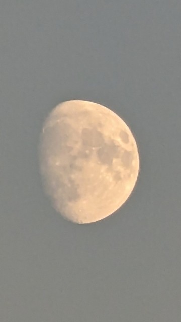 Nahaufnahme des abnehmenden Mondes, aufgenommen mit einem aktuellen Smartphone.
Der Himmel wirkt grau, obwohl er am abendlichen Himmel blau war. Das liegt wahrscheinlich an den Wolken, welche auch den Mond etwas verschleiert erscheinen lassen.
Der Mond hat noch ungefähr 75% seiner Größe, links sieht man allerdings schon deutlich, dass der Mond abnimmt.