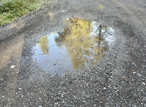 Pfütze auf dem gekiesten Weg, Oberfläche leicht gefroren.