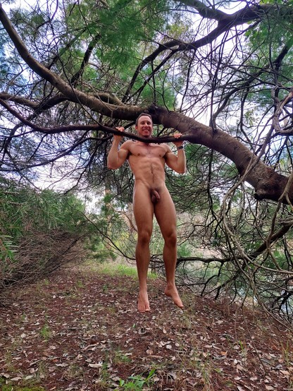 A naked man doing pullups on a tree branch