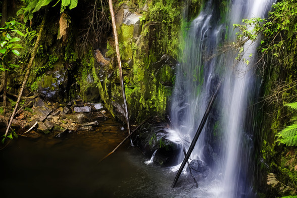 A tall single span waterfalls on the right side of the image. The water enters into a water hole surrounded by lush green rainforest on Great Ocean Road Beech Forest