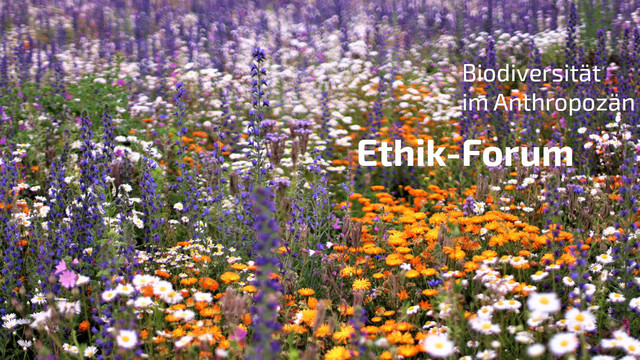 Bild einer Wildblumenwiese mit dem Titel der Veranstaltung "Ethik-Forum – Biodiversität im Anthropozän" (c) Pixabay.com/Jeyaratnam Caniceus