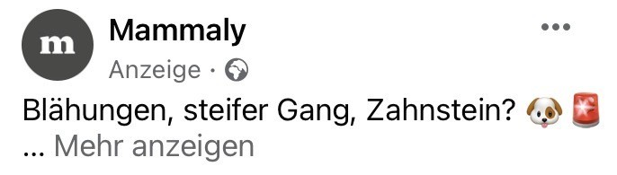 Screenshot mit den Worten „Blähungen, steifer Gang, Zahnstein?“, gefolgt von einem Hundekopf-Emoji. Es handelt sich um eine Anzeige für Nahrungsergänzung für Tiere. 
