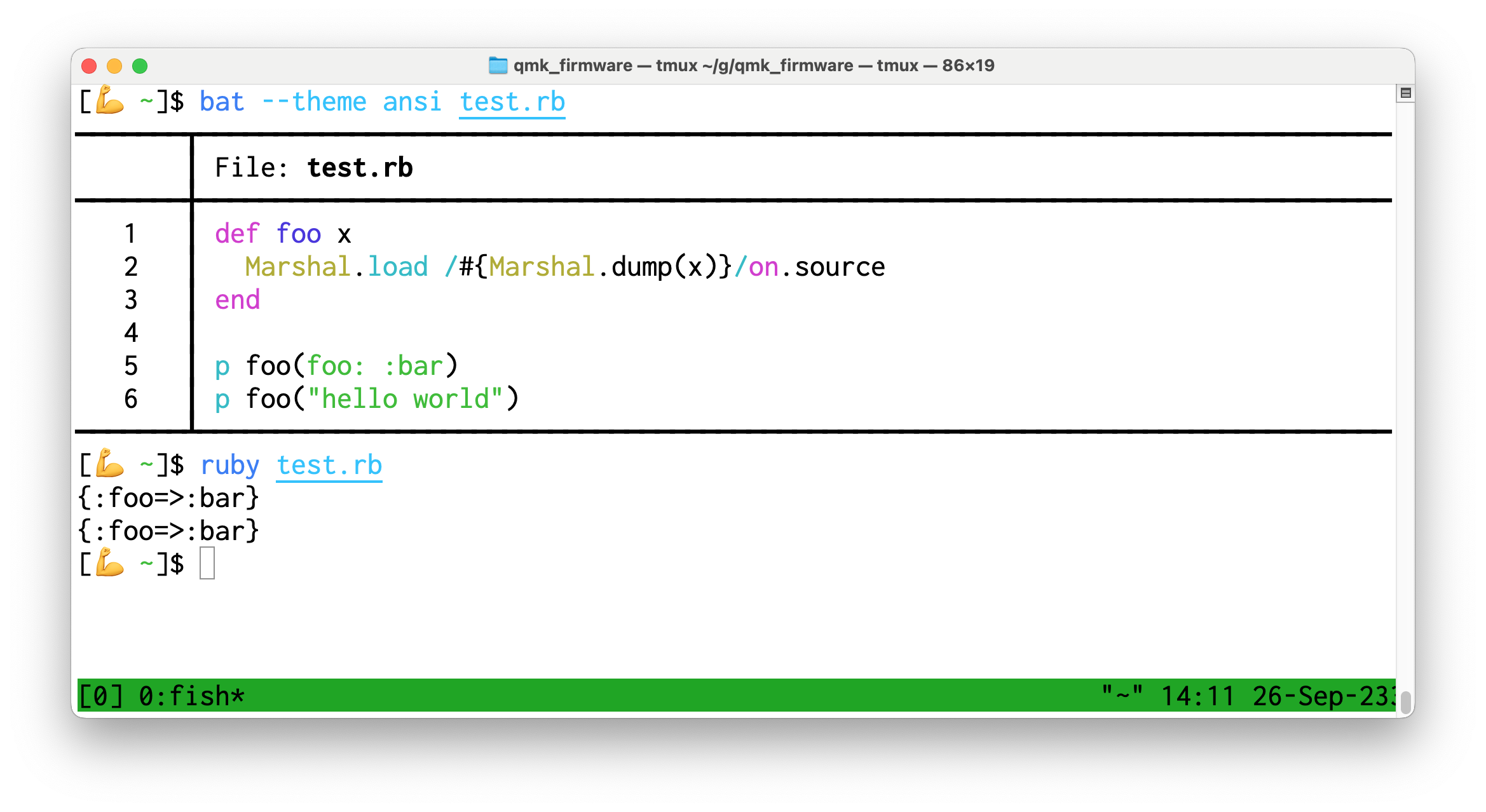 Terminal that says:

[💪 ~]$ bat --theme ansi test.rb

   1   │ def foo x
   2   │   Marshal.load /#{Marshal.dump(x)}/on.source
   3   │ end
   4   │ 
   5   │ p foo(foo: :bar)
   6   │ p foo("hello world")

[💪 ~]$ ruby test.rb
{:foo=>:bar}
{:foo=>:bar}
[💪 ~]$ 