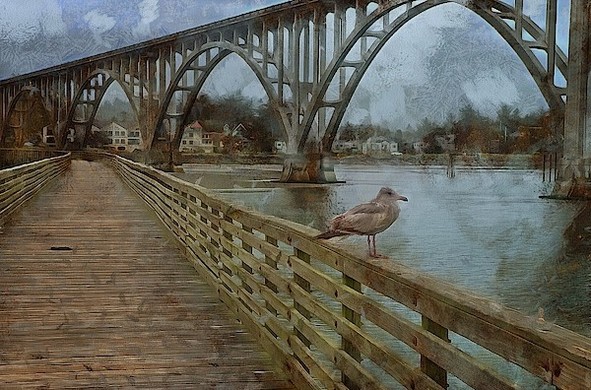 "The Pier And The Seagull" A huge fishing pier that stretches half way across the Yaquina Bay in Newport, Oregon!  #BuyIntoArt #Art #ThomZehrfeldPhotography #PhotographyIsArt #Photography #Fotografie
#ArtForSale #ArtMatters #MastoArt #Mastodon #ArtforInteriorDesign #HospitalityInteriors 
#InteriorDesign #Wallart #InteriorDecorating #WallArtForSale #PNW #NewportOregon #Nautical #OregonCoast #nauticalart #nauticaldecor #OregonCoast #marineart #nauticalstyle 

Prints at: https://1-thom-zehrfeld.pixels.com/featured/the-pier-and-the-seagull-thom-zehrfeld.html
