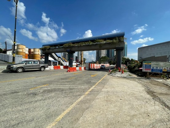 Pedestrian overpass with road below.