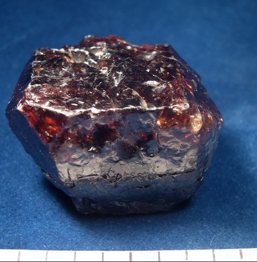 A lustrous deep brown crystal, with limpid transparent depths sits on a blue velvet background. A white scalebar along the bottom of the image shows the size - just under 4cm!