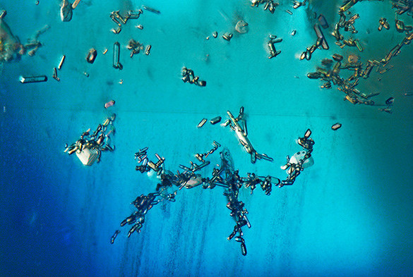 Dreamy blues in a sapphire that is host to some perfectly formed zircons and monazites.