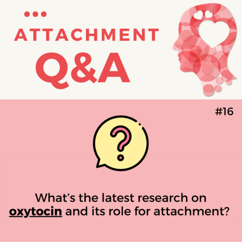 Attachment Q & A (16) Question 