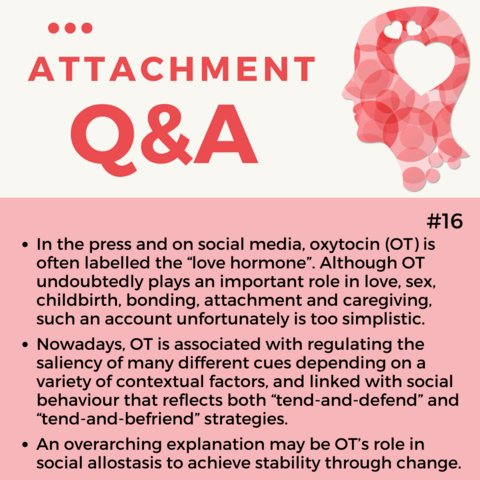 Attachment Q & A (16) Answer Summary