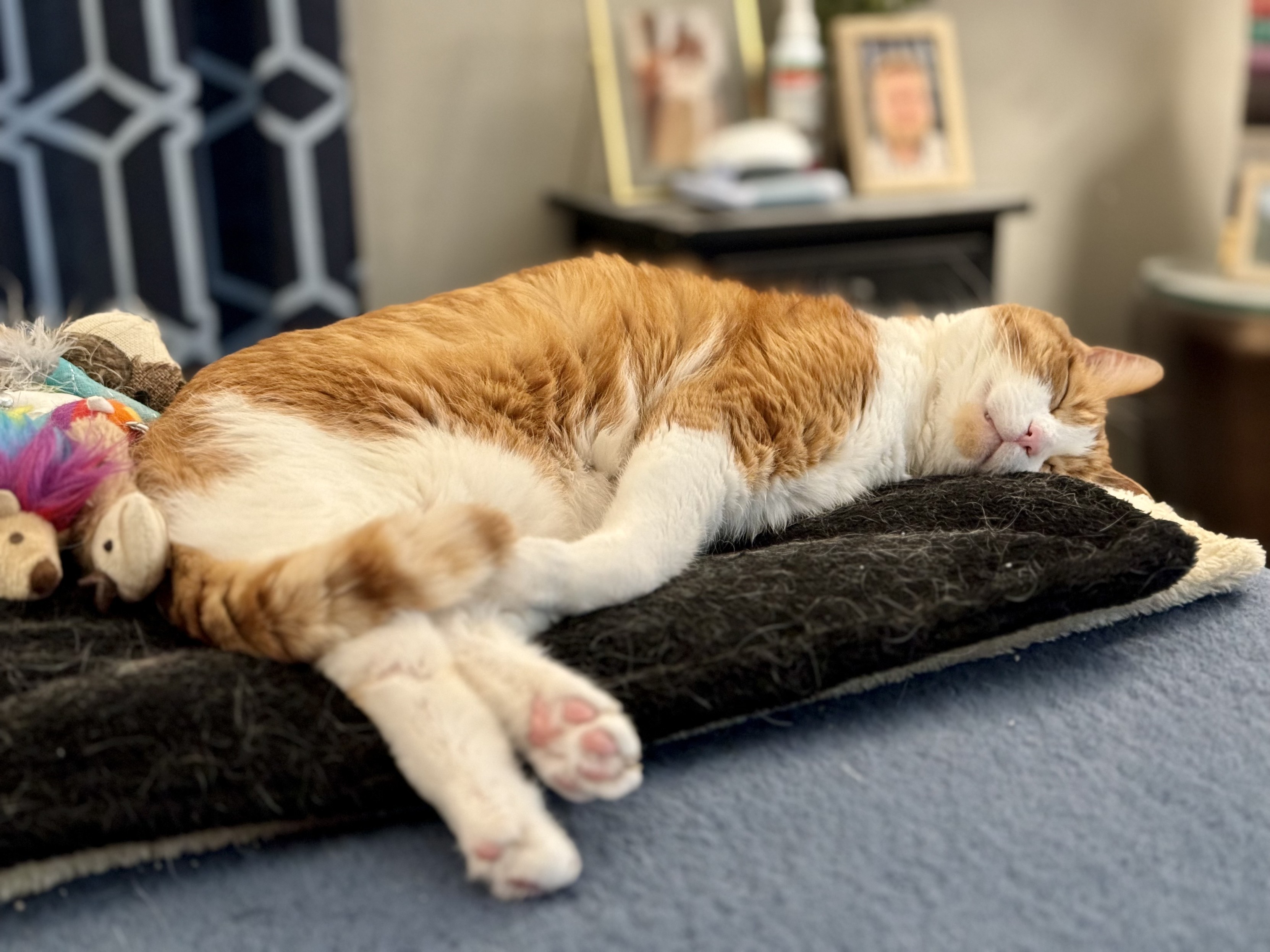 An orange tabby cat sleeps soundly on a black cat mat.